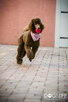 img_001