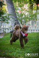 img_019