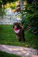 img_027