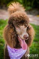 img_151
